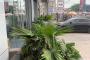 A LOUER Local commercial Gombe Kinshasa  picture 4