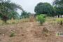 A VENDRE Field / ground Mont-Ngafula Kinshasa  picture 7