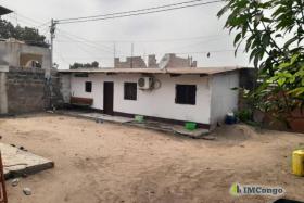 Imcongo - A vendre