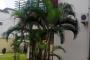 A VENDRE House / villa Ngaliema Kinshasa  picture 6