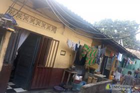Imcongo - A vendre