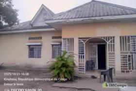 Imcongo - A vendre