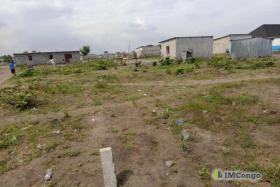 Imcongo - Yaku uzisha