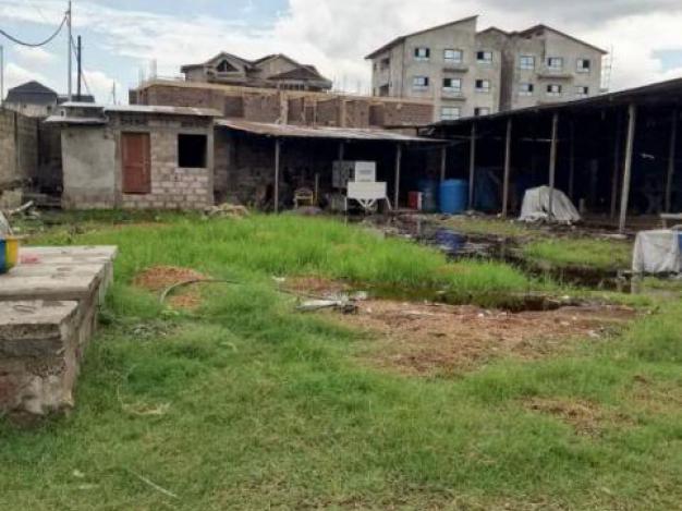 Ground - Neighborhood mollart