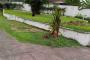 A VENDRE Terrain / parcelle Ngaliema Kinshasa  picture 7