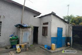 Imcongo - A vendre