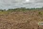 A VENDRE Field / ground Communes Lubumbashi  picture 8