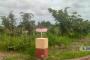 A VENDRE Field / ground Communes Lubumbashi  picture 11