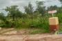 A VENDRE Field / ground Communes Lubumbashi  picture 4