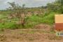 A VENDRE Field / ground Communes Lubumbashi  picture 9