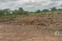 A VENDRE Field / ground Communes Lubumbashi  picture 2