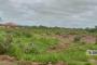 A VENDRE Field / ground Communes Lubumbashi  picture 12