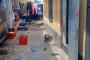 A VENDRE Terrain / parcelle Barumbu Kinshasa  picture 5