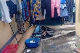 Imcongo - 