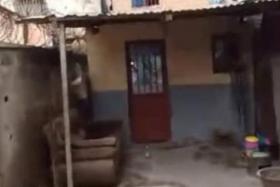 Imcongo - 