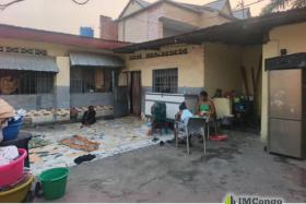 Imcongo - A vendre