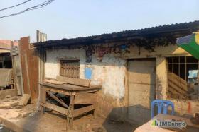 Imcongo - A vendre