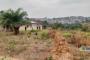 A VENDRE Field / ground Mont-Ngafula Kinshasa  picture 8