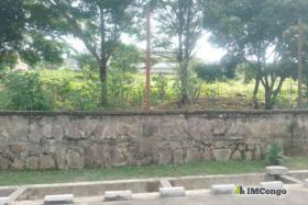 Imcongo - Yaku uzisha