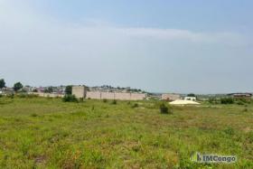 Imcongo - Yaku uzisha